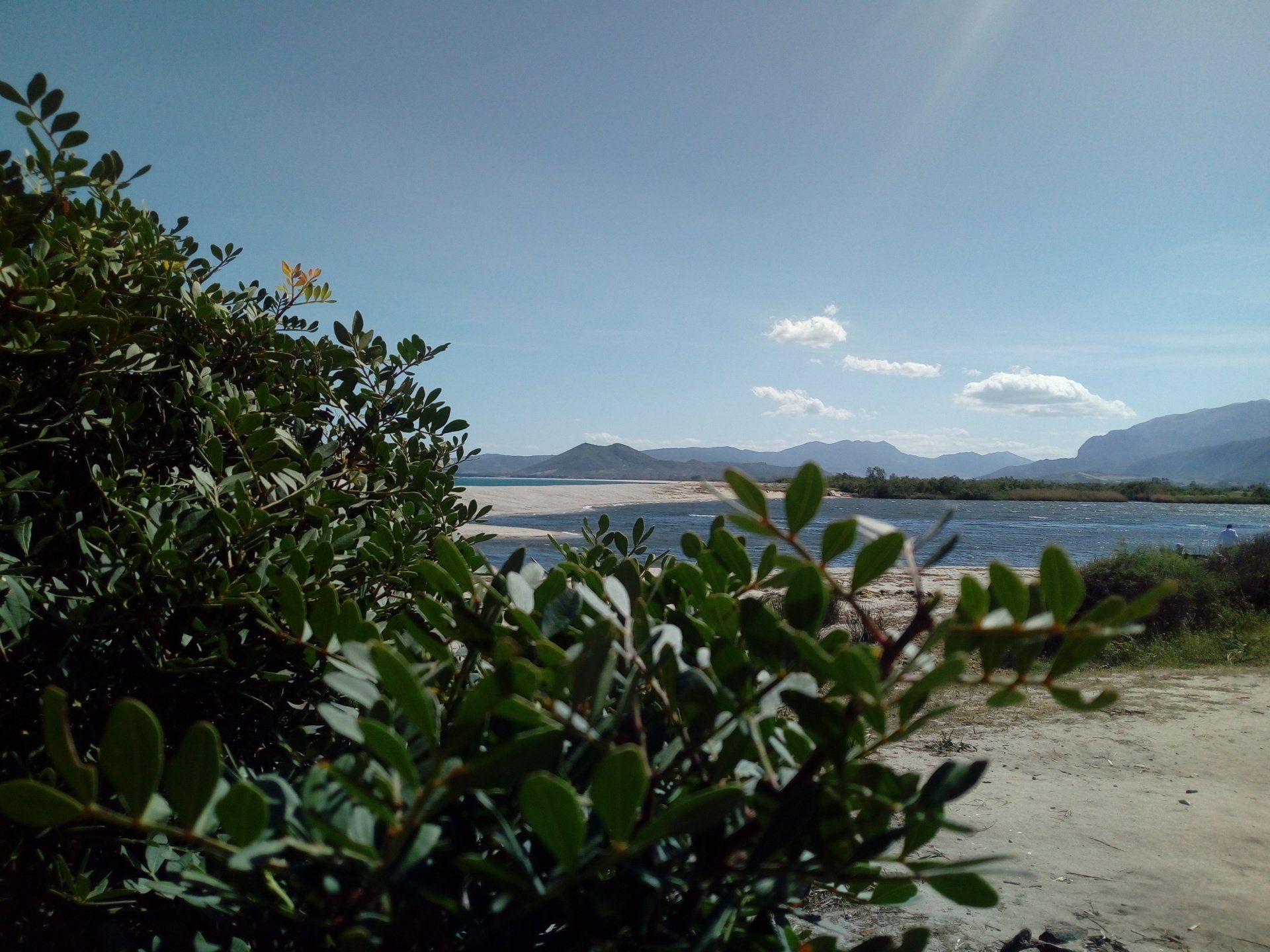 marine area