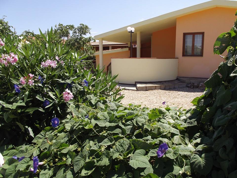 garden with flowers and plants
