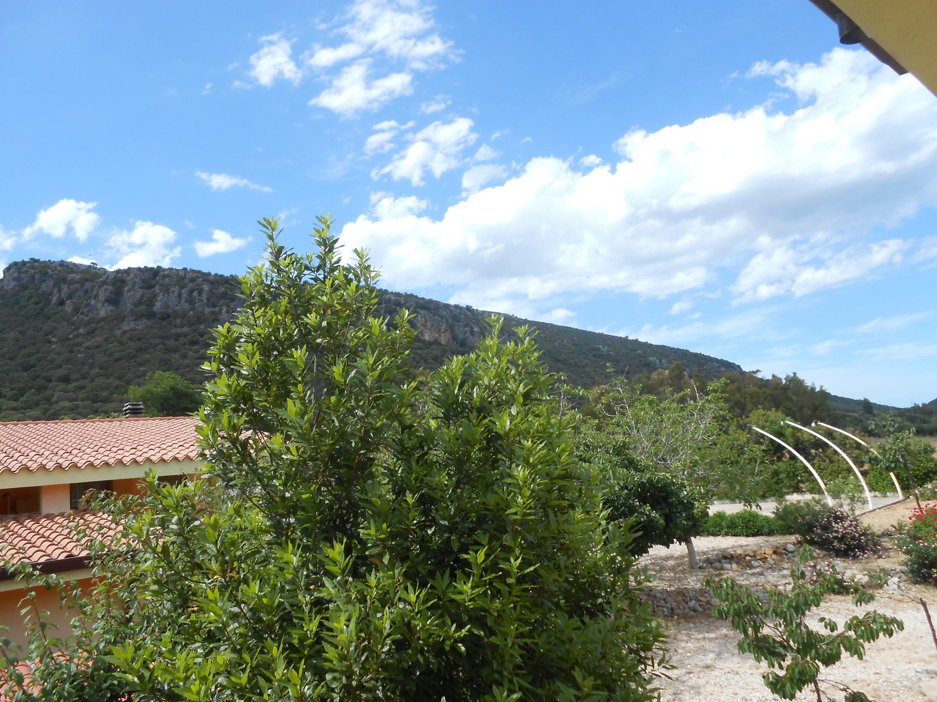 siniscola mountain area