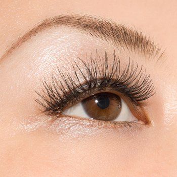 Eye