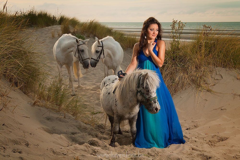 Model horse