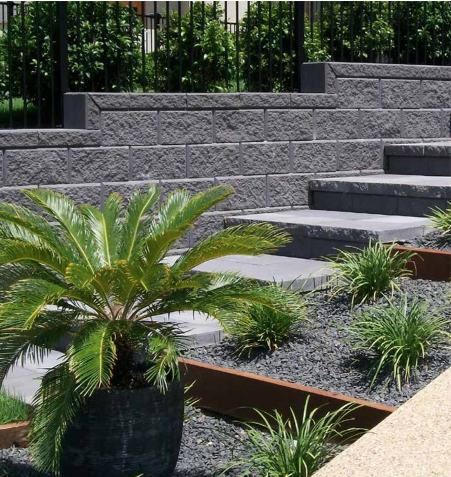 A potted plant is in front of a set of stairs