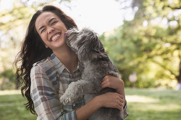 Pet Owner — Dog Kisses His Owner in Citrus Heights, CA