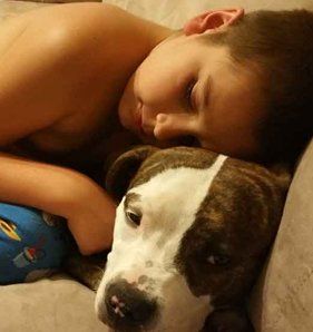 Dog Owner — Complete Surgery Given By The Veterinarian of Sylvan Corners Pet Hospital in Citrus Heights, CA