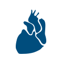 APPARATO CARDIO VASCOLARE