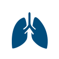 APPARATO RESPIRATORIO