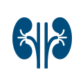 UROLOGIA