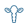 GINECOLOGIA E OSTETRICIA