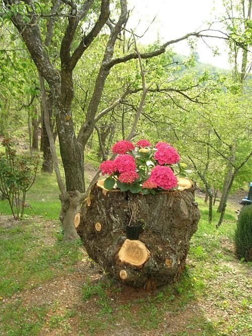 Log with flowers