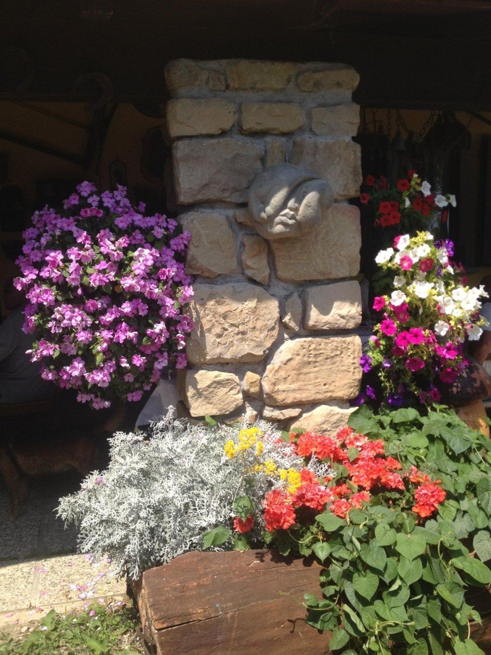 Flowers in pots