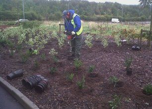 Ground Maintenance