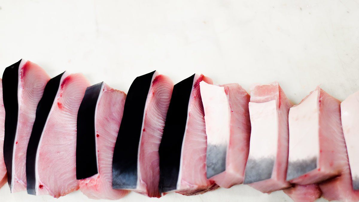 fish