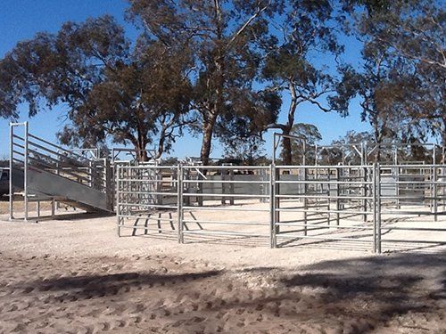 Stock Sales & Yards