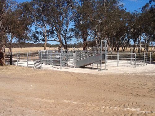 Stock Sales & Yards