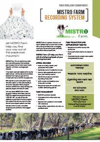 Mistro FLyer Download Mistro FLyer Download