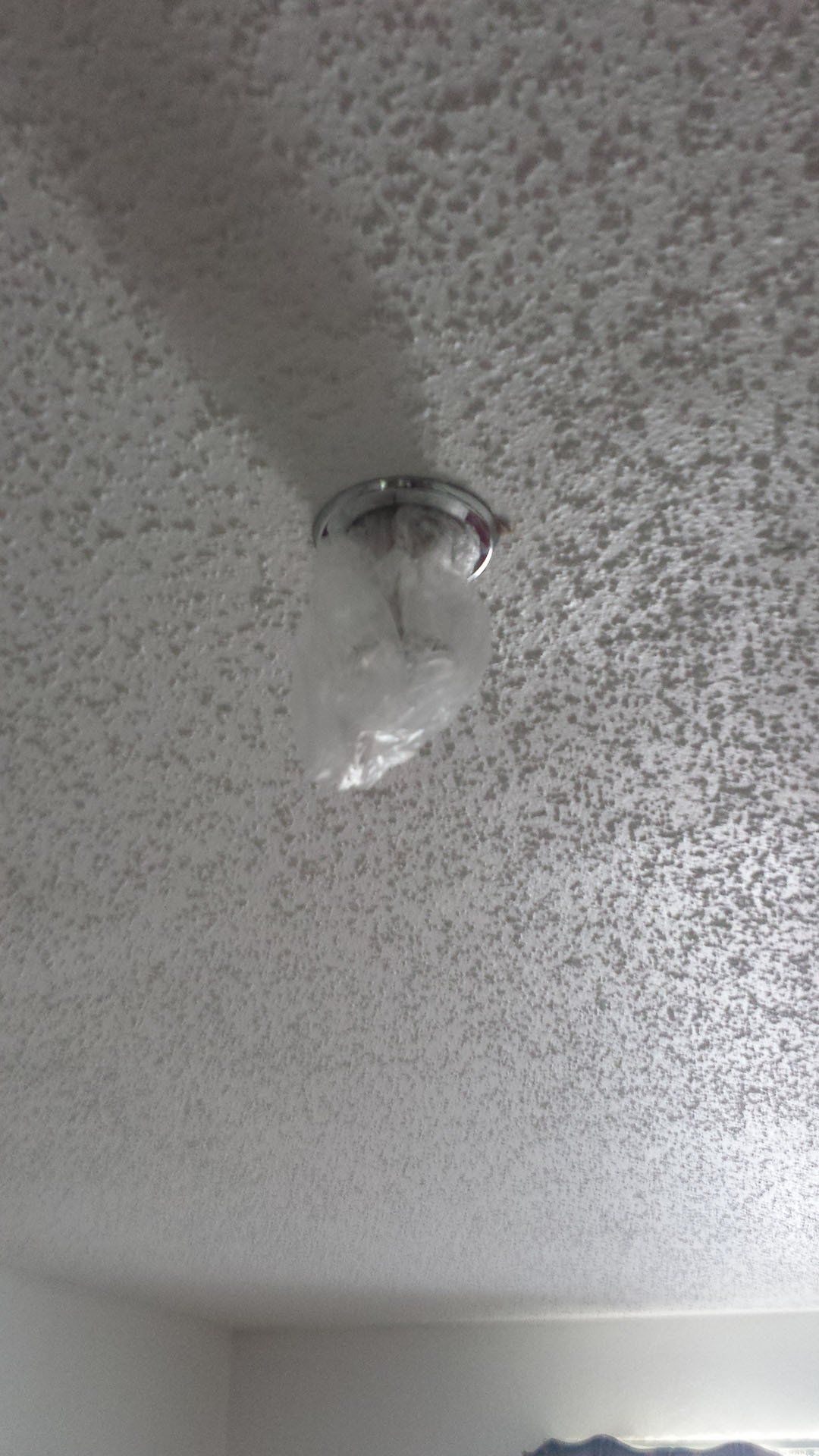 Sprinkler Head Bag — Chicago, IL — Bravura Facility Management, LLC