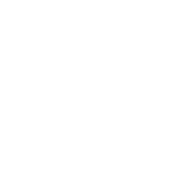 IREM logo