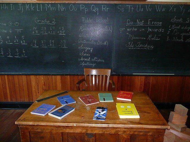 Professor