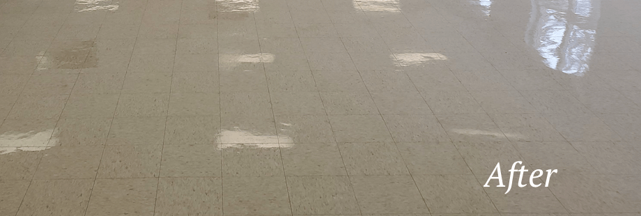 After Tile & Grout Cleaning