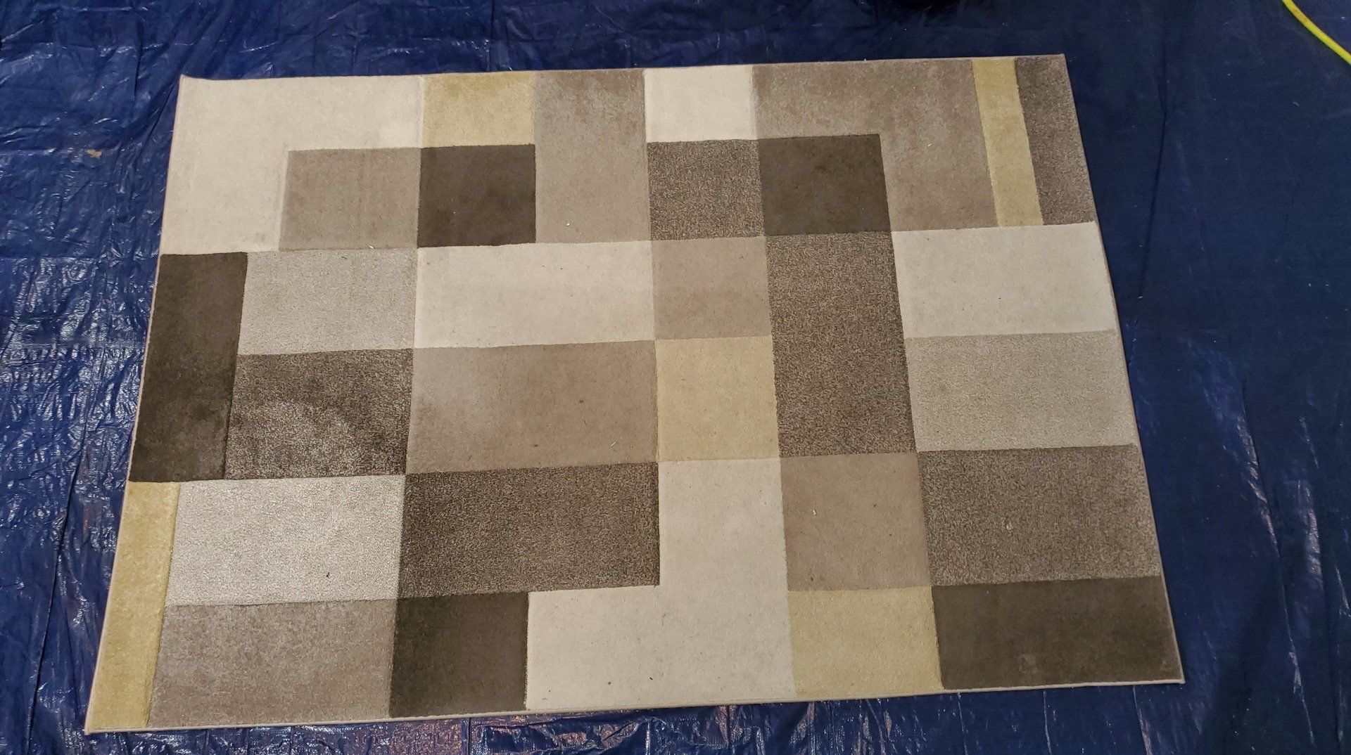 Before Rug Cleaning