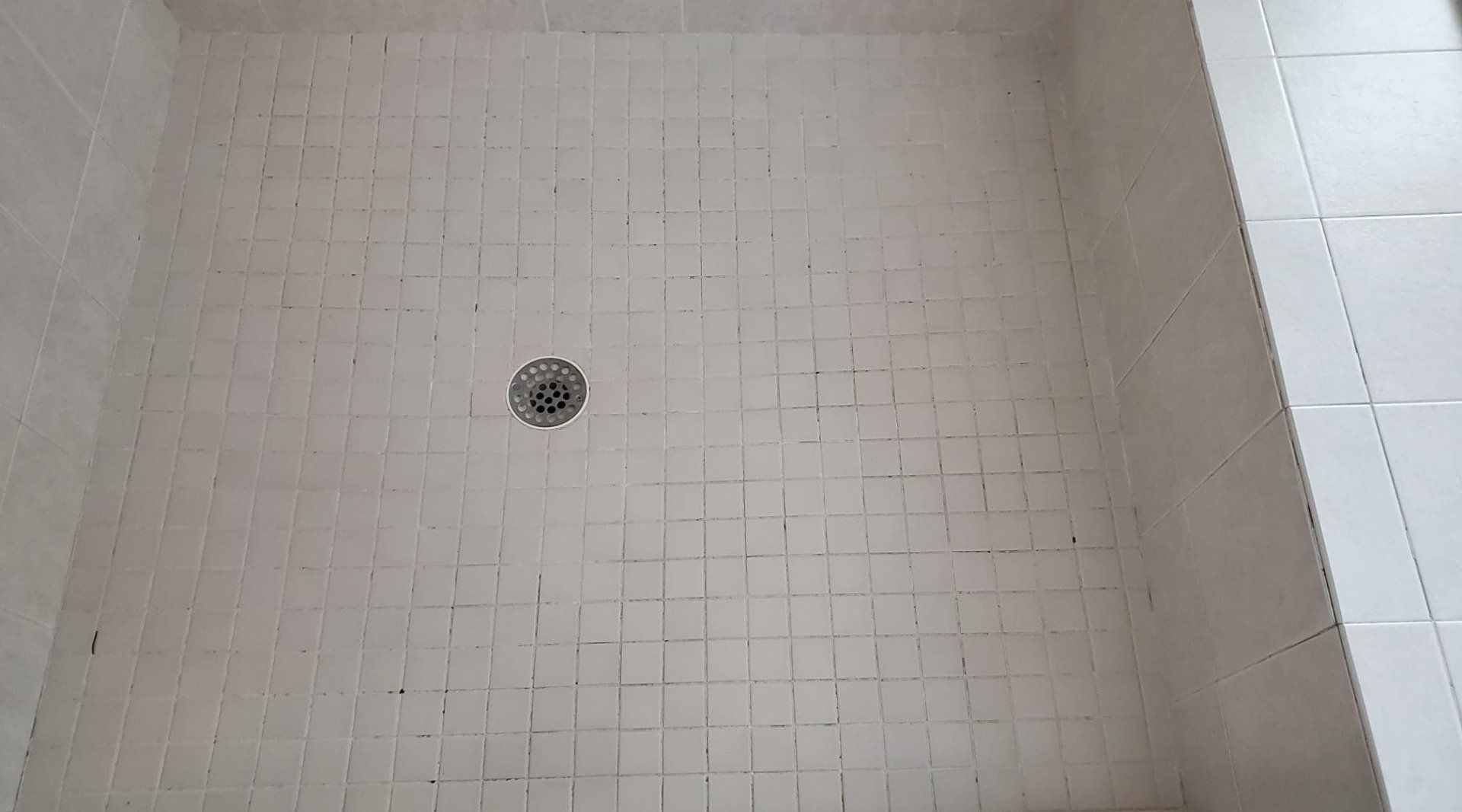 Before Tile Regrouting