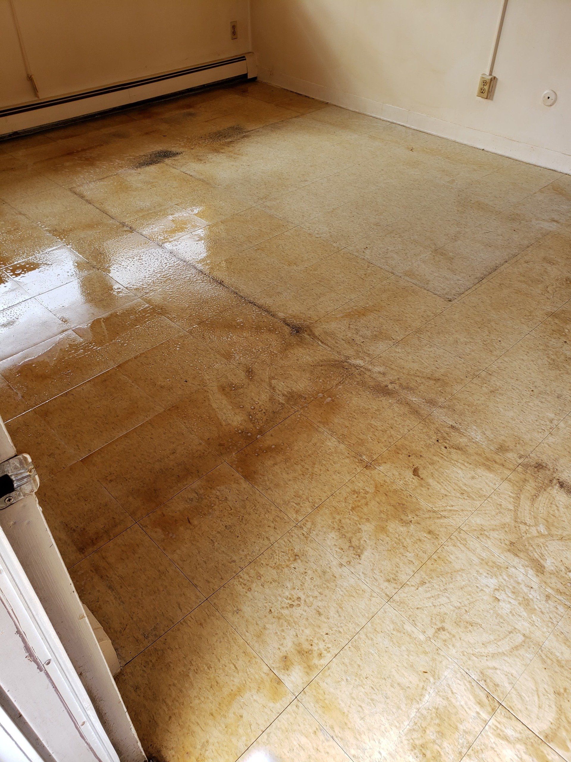 Before Tile & Grout Cleaning