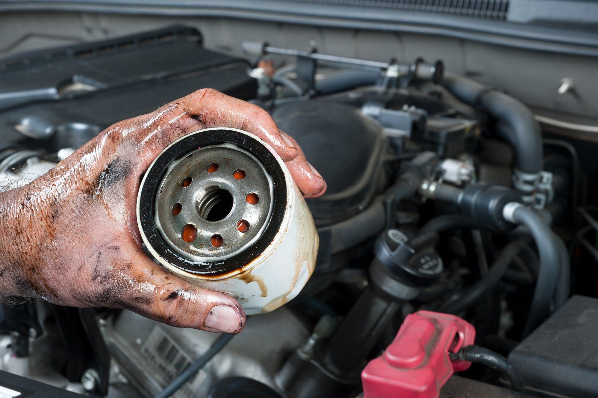 Automotive Services — Auto Mechanic Holding Oil Filter in Lafayette, IN Automotive Services — Auto Mechanic Holding Oil Filter in Lafayette, IN