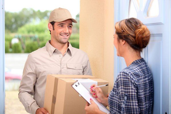Express Courier Service