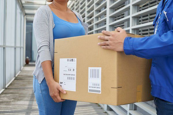 Same Day Courier Service