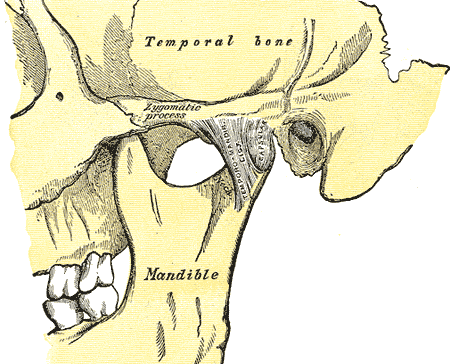 tmj therapy silver spring md