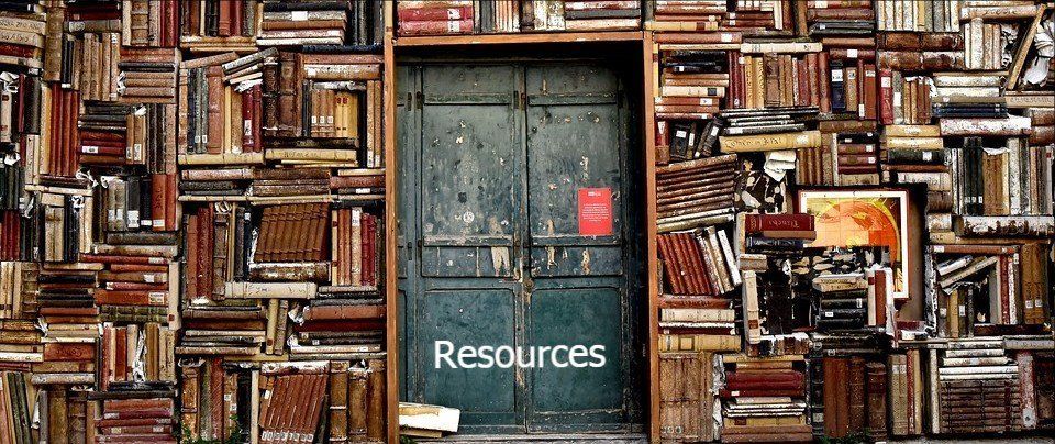 tampa wellness resources