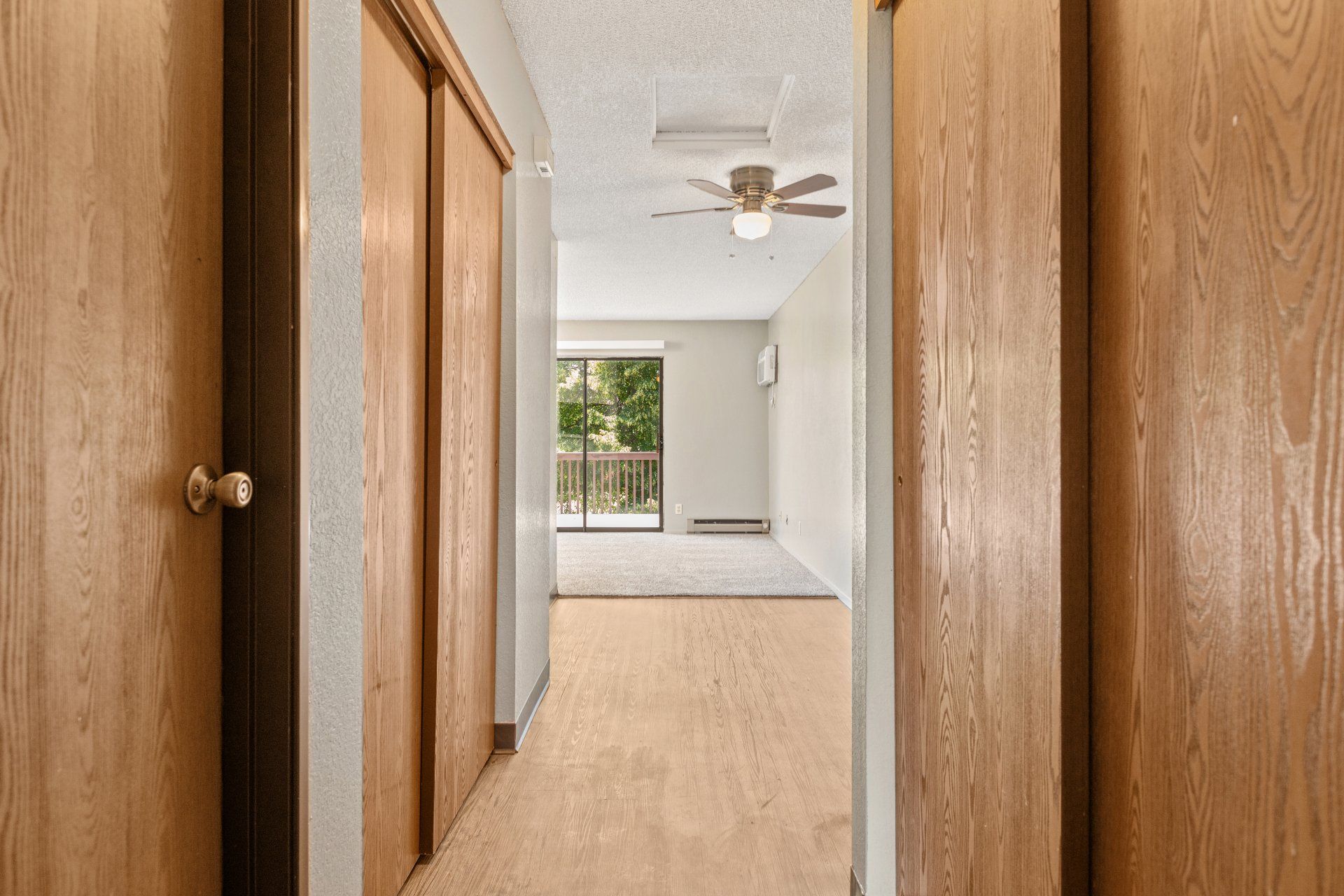 Hallway leading to living room with large closet on left side wall