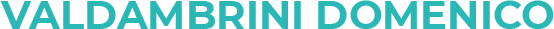Valdambrini Domenico-LOGO