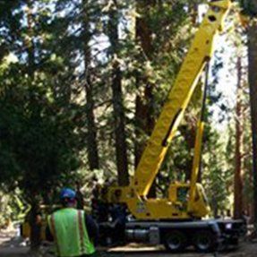 Crane Near Trees — Hesperia, CA — KAT Cranes