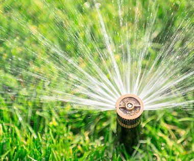 Irrigation Services — Lawn Sprinkler in Livonia, MI Irrigation Services — Lawn Sprinkler in Livonia, MI
