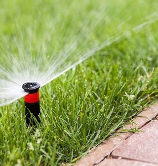 Sprinkler Installation Systems — Newly Installed Lawn Sprinkler in Livonia, MI Sprinkler Installation Systems — Newly Installed Lawn Sprinkler in Livonia, MI