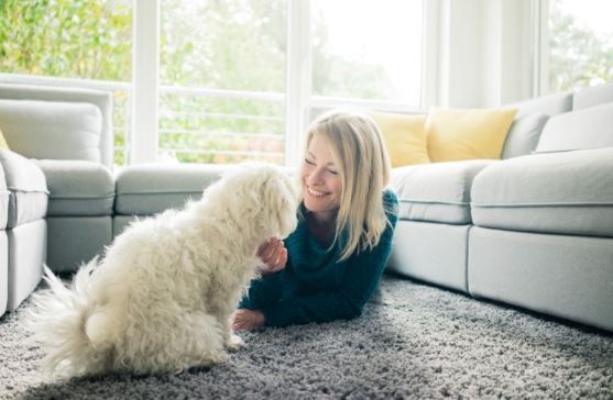 How to Make Your Home Pet-Friendly