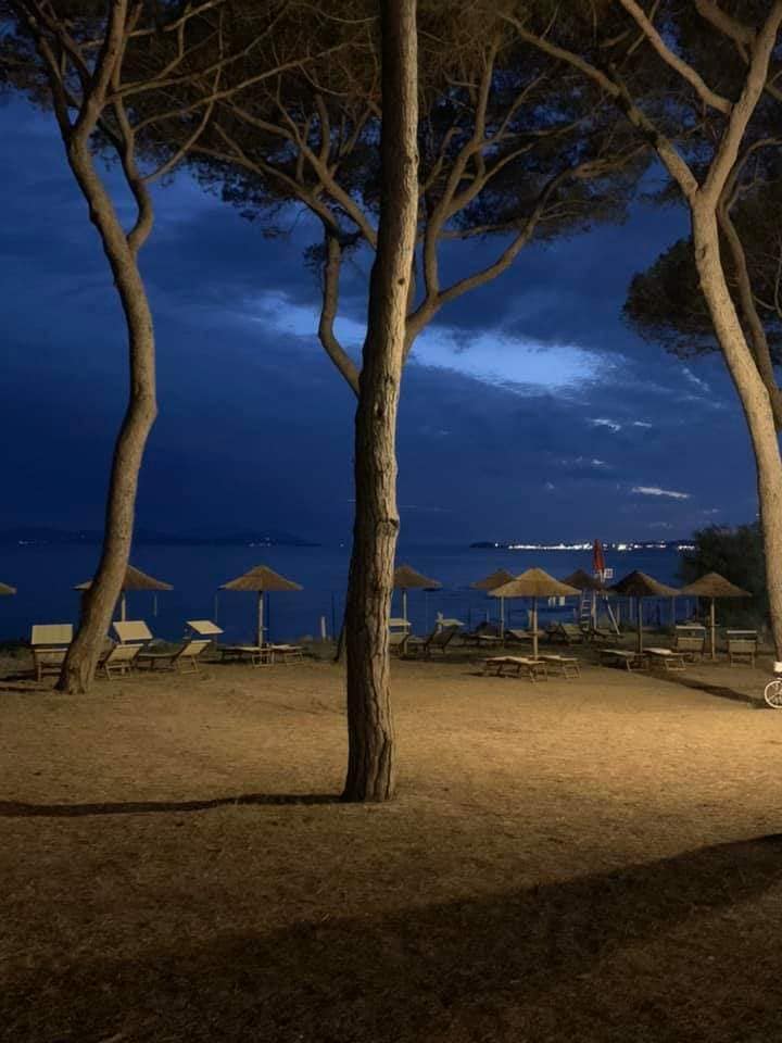 Spiaggia al tramonto con alberi in primo piano, sedie a sdraio e ombrelloni lungo la riva, cielo blu scuro.