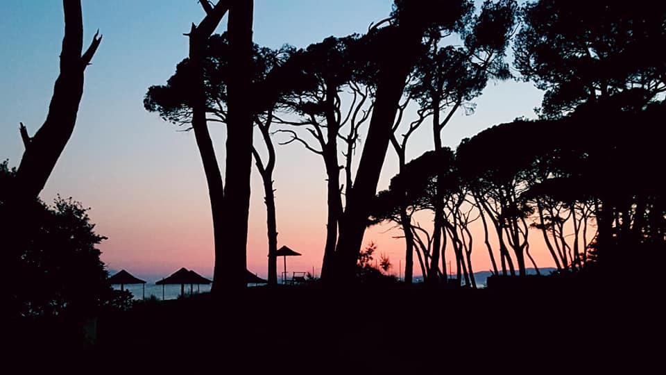 Alberi in silhouette contro un cielo al tramonto con sfumature rosa e blu; sono visibili gli ombrelloni da spiaggia.