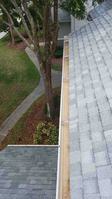 Clean gutter - Roof Cleaning in Seffner, FL