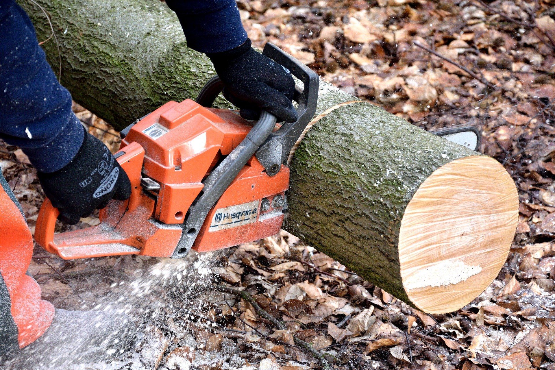 Person in black gloves using orange chainsaw to cut a log in a wooded area.