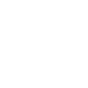 Carzone - Official Sponsor of Templeogue United Football Club