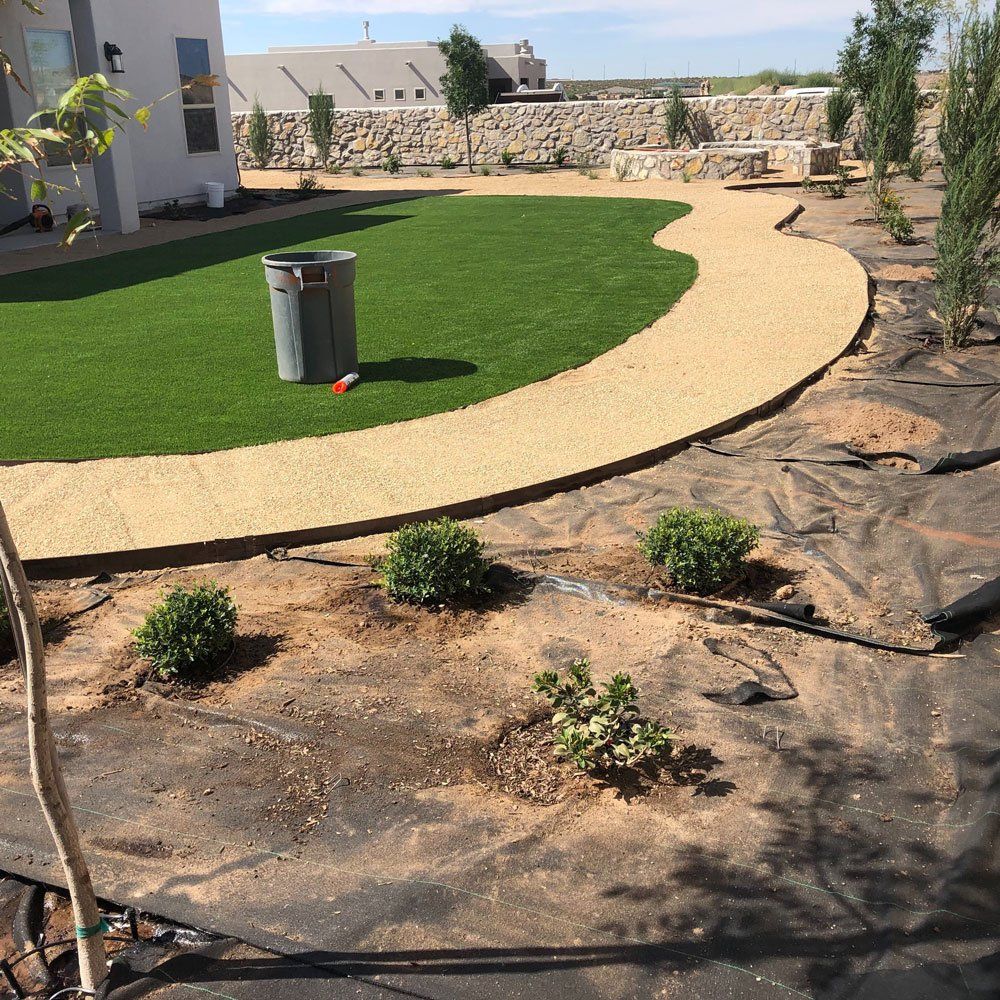 Plants with Weed Cover — Las Cruces, NM — CN Landscaping