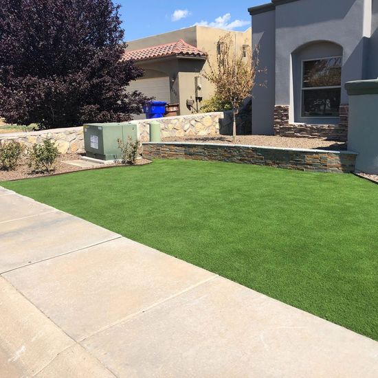 Clean Front Lawn — Las Cruces, NM — CN Landscaping Clean Front Lawn — Las Cruces, NM — CN Landscaping