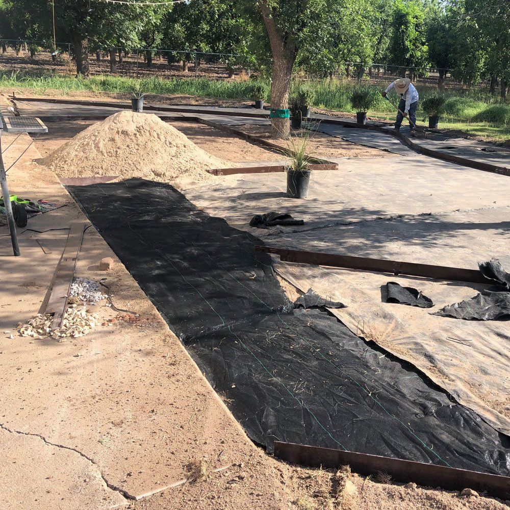Renovating Backyard — Las Cruces, NM — CN Landscaping Renovating Backyard — Las Cruces, NM — CN Landscaping