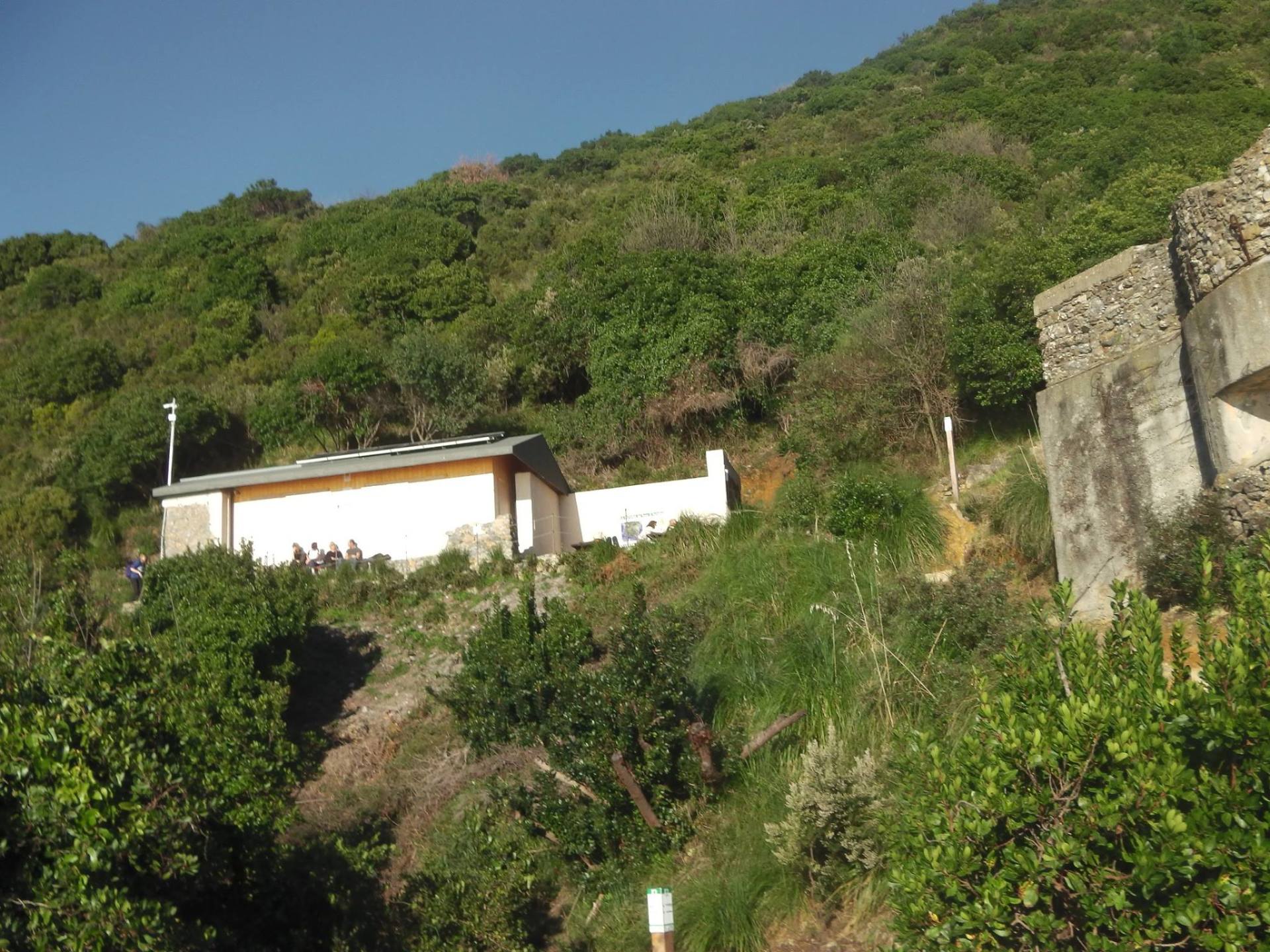 Casale
