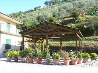 Copertura in legno e piante