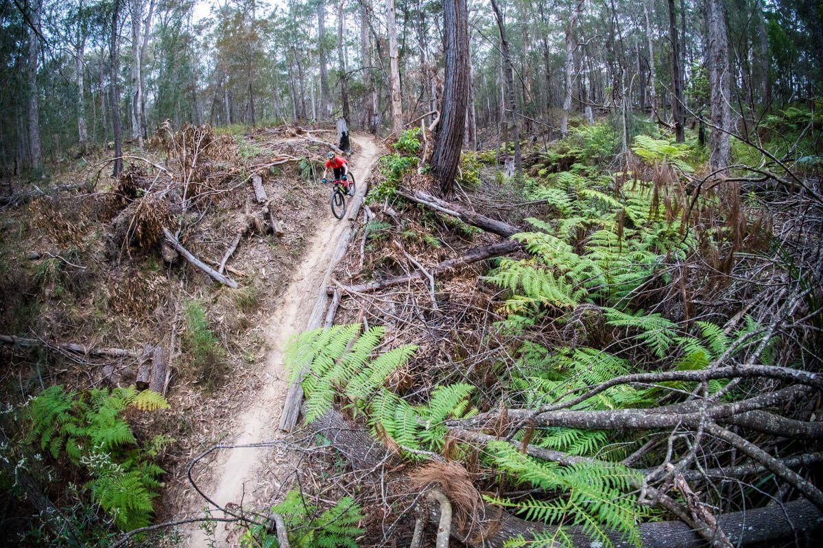Riding in Tathra