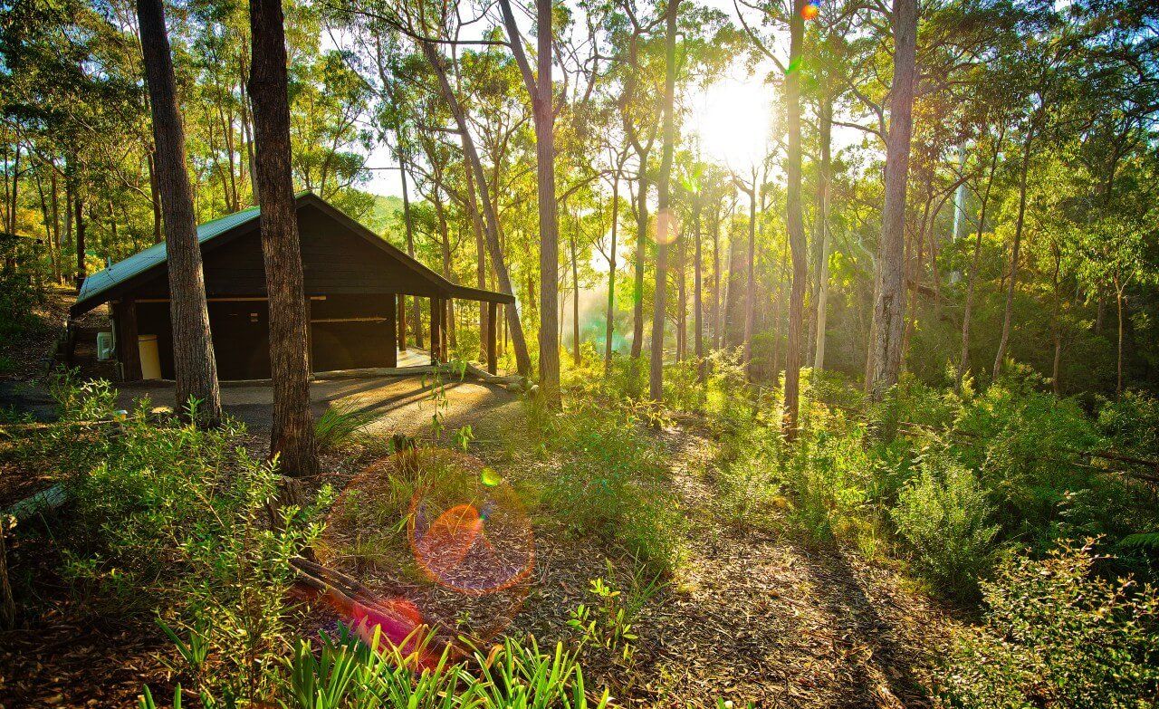 Bush cabin accommodation Tathra