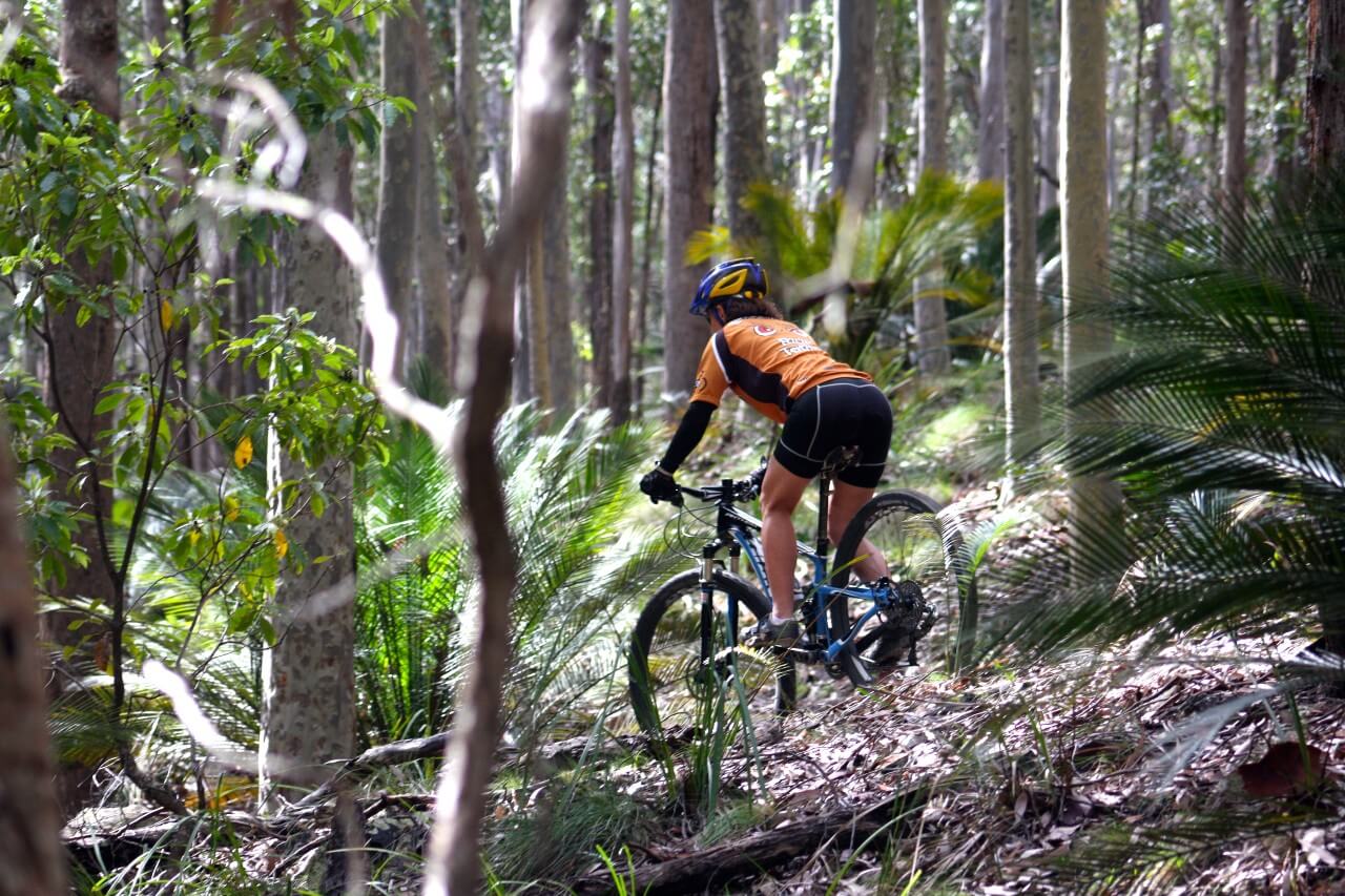 Cross country mountain bike Tathra